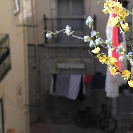Martim Vaz Ii - Downtown * リスボン
